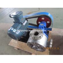 Molasses stainless steel pump, food pumps